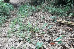 Tanah Kavling untuk Dijual di Rumpin Bogor 4800m2 Tanah Kavling untuk Dijual di Rumpin Bogor 4800m2