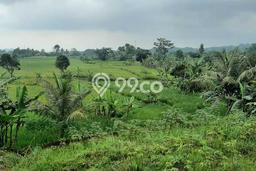 Lahan untuk Dijual Lokasi Pamijahan, Bogor Luas 1000m2 AJB Lahan untuk Dijual Lokasi Pamijahan, Bogor Luas 1000m2 AJB