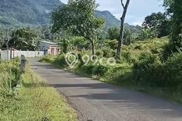 Lahan untuk Dijual Lokasi Leuwiliang, Bogor Luas 11000m2 SHM Lahan untuk Dijual Lokasi Leuwiliang, Bogor Luas 11000m2 SHM
