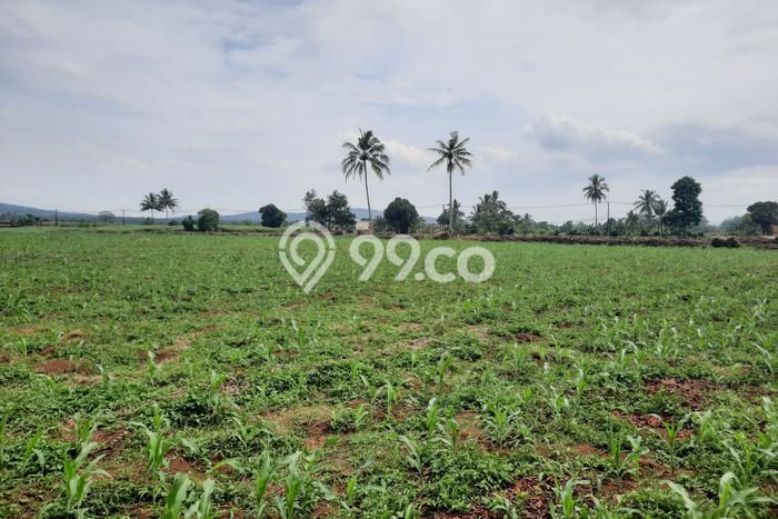 Tanah di Bogor Tengah, Bogor Luas 107000m2 Dijual Segera Tanah di Bogor Tengah, Bogor Luas 107000m2 Dijual Segera