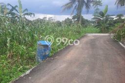 Lahan Strategis di Dramaga Dijual dengan Luas 800m2 Lahan Strategis di Dramaga Dijual dengan Luas 800m2