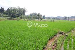 Tanah Dijual Lokasi Tenjolaya, Bogor Luas 3000m2 Legalitas Aman Tanah Dijual Lokasi Tenjolaya, Bogor Luas 3000m2 Legalitas Aman