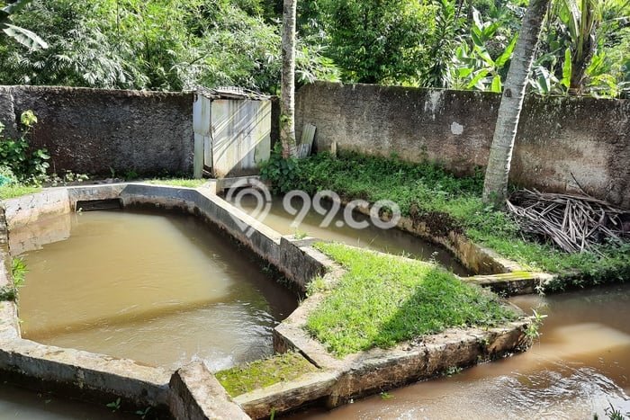 Tanah di Tenjolaya, Bogor Luas 1660m2 Dijual Segera Tanah di Tenjolaya, Bogor Luas 1660m2 Dijual Segera