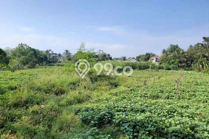 AREA PROSPEKTIF! Tanah Kawasan Ciampea, Luas 3000m², Dekat Transportasi AREA PROSPEKTIF! Tanah Kawasan Ciampea, Luas 3000m², Dekat Transportasi