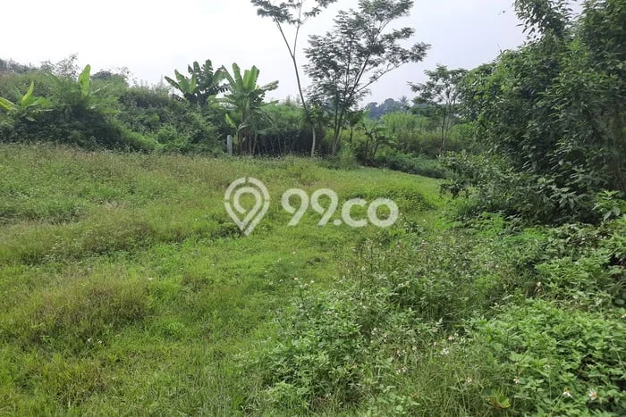 Kavling Tanah Dijual di Ciampea Bogor Spesifikasi 2200m2 Kavling Tanah Dijual di Ciampea Bogor Spesifikasi 2200m2