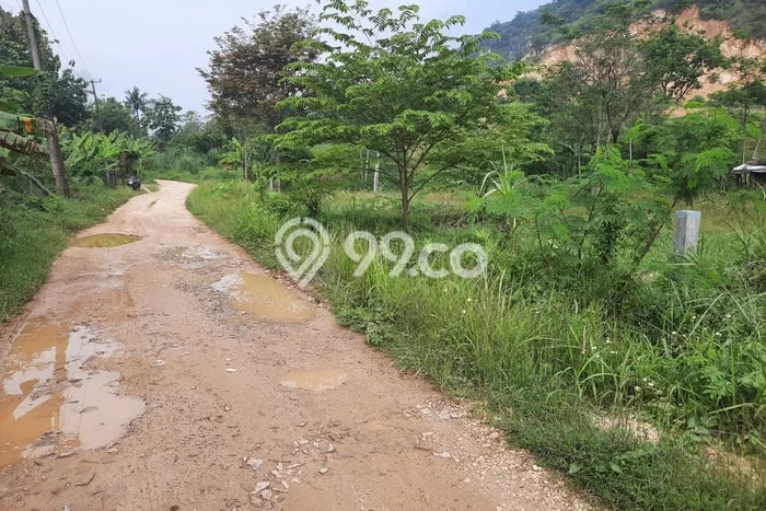 Kavling Tanah Dijual di Ciampea Bogor Spesifikasi 2200m2 Kavling Tanah Dijual di Ciampea Bogor Spesifikasi 2200m2