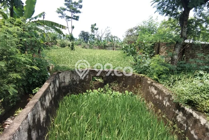 Lahan Dijual Lokasi Ciampea, Bogor dengan Luas Tanah 5000m2 dan Status SHM Lahan Dijual Lokasi Ciampea, Bogor dengan Luas Tanah 5000m2 dan Status SHM