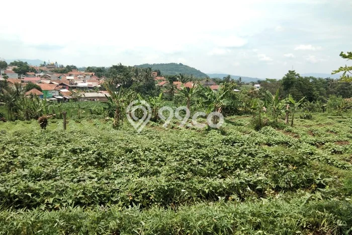 Lahan Dijual Lokasi Ciampea, Bogor dengan Luas Tanah 5000m2 dan Status SHM Lahan Dijual Lokasi Ciampea, Bogor dengan Luas Tanah 5000m2 dan Status SHM