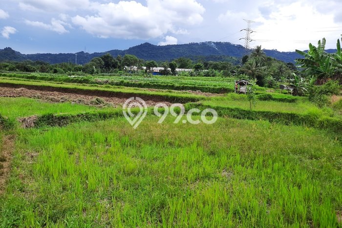 Tanah Kavling untuk Dijual di Leuwisadeng Bogor 50000m2 Tanah Kavling untuk Dijual di Leuwisadeng Bogor 50000m2