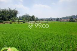 Jual Tanah Lokasi Strategis di Pamijahan, Luas 10000m², Akses Pamijahan, Bogor, Bogor Jual Tanah Lokasi Strategis di Pamijahan, Luas 10000m², Akses Pamijahan, Bogor, Bogor
