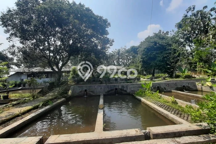 Tanah Dijual Lokasi Ciampea, Bogor dengan Luas Tanah 50000m2 dan Status SHM Tanah Dijual Lokasi Ciampea, Bogor dengan Luas Tanah 50000m2 dan Status SHM