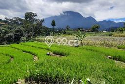 Tanah Komersial Kawasan Pamijahan, Luas 27000m², Pinggir Jalan Tanah Komersial Kawasan Pamijahan, Luas 27000m², Pinggir Jalan