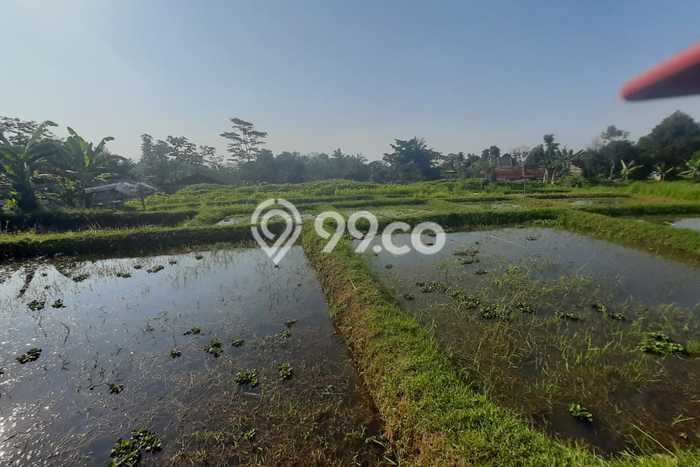 Lahan Kosong Dijual di Ciampea, Bogor, Luas 6000m2 Area Strategis Lahan Kosong Dijual di Ciampea, Bogor, Luas 6000m2 Area Strategis