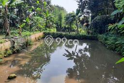 Tanah untuk Dijual Lokasi Ciampea, Bogor Luas 1310m2 - Tanah untuk Dijual Lokasi Ciampea, Bogor Luas 1310m2 -