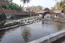 Tanah Dijual Lokasi Tenjolaya, Bogor Luas 1725m2 Legalitas Aman Tanah Dijual Lokasi Tenjolaya, Bogor Luas 1725m2 Legalitas Aman