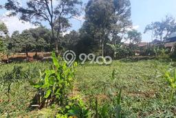 Tanah untuk Dijual di Dramaga Bogor Luas 12000m2 Tanah untuk Dijual di Dramaga Bogor Luas 12000m2