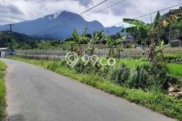 Lahan Strategis di Pamijahan Dijual dengan Luas 21000m2 Lahan Strategis di Pamijahan Dijual dengan Luas 21000m2