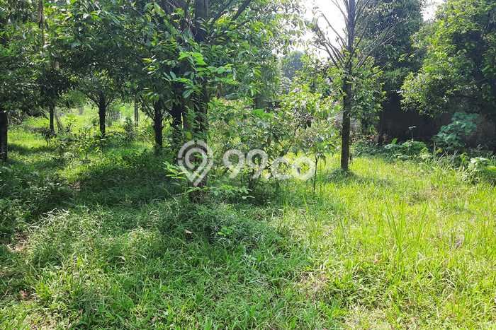 Tanah untuk Dijual di Ciampea Bogor Luas 1614m2 Tanah untuk Dijual di Ciampea Bogor Luas 1614m2