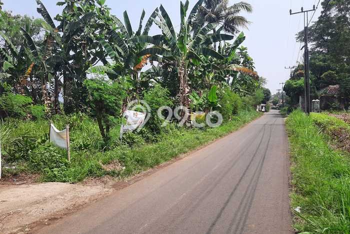 Tanah untuk Dijual di Ciampea Bogor Luas 1614m2 Tanah untuk Dijual di Ciampea Bogor Luas 1614m2