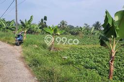 Jarang Ada! Tanah di Pamijahan Punya Luas 2009m2 - Jarang Ada! Tanah di Pamijahan Punya Luas 2009m2 -