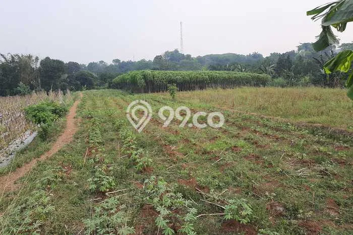 Jarang Ada! Tanah di Ciampea Punya Luas 2000m2 SHM Jarang Ada! Tanah di Ciampea Punya Luas 2000m2 SHM