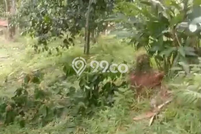 Tanah Strategis Dijual di Nanggung Bogor 37000m2 Tanah Strategis Dijual di Nanggung Bogor 37000m2