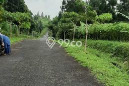 Tanah untuk Dijual di Pamijahan Bogor Luas 1500m2 Tanah untuk Dijual di Pamijahan Bogor Luas 1500m2
