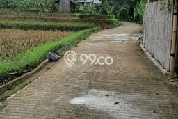 Tanah di Pamijahan, Bogor Luas 1500m2 Dijual Segera Tanah di Pamijahan, Bogor Luas 1500m2 Dijual Segera