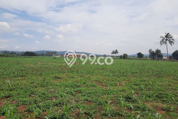 Tanah di Bogor Tengah, Bogor Luas 107000m2 Dijual Segera Tanah di Bogor Tengah, Bogor Luas 107000m2 Dijual Segera