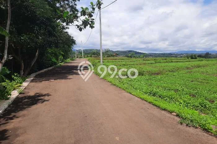Lahan Kosong Dijual di Bogor dengan Area 3000m2 Lahan Kosong Dijual di Bogor dengan Area 3000m2