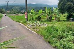 Lahan untuk Dijual di Pamijahan Bogor Luas 5000m2 Lahan untuk Dijual di Pamijahan Bogor Luas 5000m2