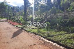 Jarang Ada! Tanah di Cijeruk Punya Luas 1065m2 SHM Jarang Ada! Tanah di Cijeruk Punya Luas 1065m2 SHM