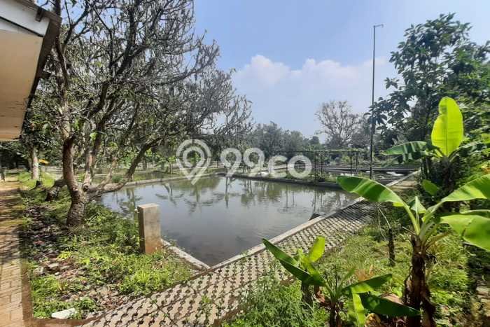 Tanah Kavling untuk Dijual di Ciampea Bogor 50000m2 Tanah Kavling untuk Dijual di Ciampea Bogor 50000m2