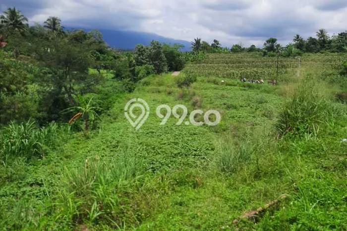Tanah Strategis Dijual di Dramaga Bogor 1700m2 Tanah Strategis Dijual di Dramaga Bogor 1700m2