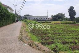 Tanah di Dramaga, Bogor Luas 1000m2 Dijual Segera Tanah di Dramaga, Bogor Luas 1000m2 Dijual Segera