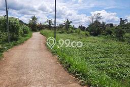Tanah Strategis Dijual di Dramaga Bogor 1700m2 Tanah Strategis Dijual di Dramaga Bogor 1700m2