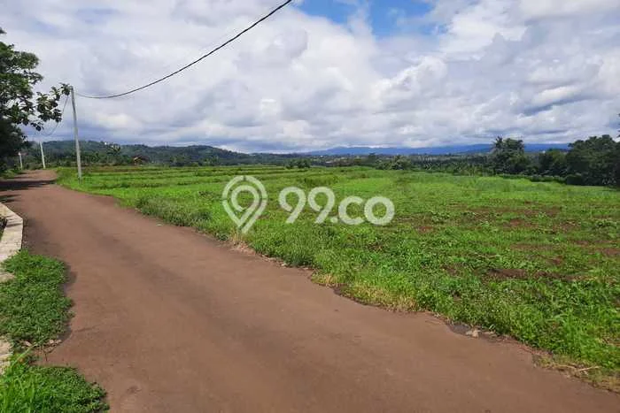 Lahan Kosong Dijual di Bogor dengan Area 3000m2 Lahan Kosong Dijual di Bogor dengan Area 3000m2