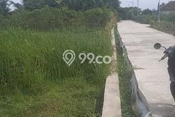Tanah untuk Dijual Lokasi Dramaga, Bogor Luas 2000m2 SHM Tanah untuk Dijual Lokasi Dramaga, Bogor Luas 2000m2 SHM