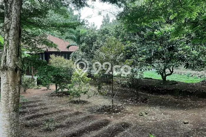 Tanah Kosong Dijual di Bogor dengan Area 54000m2 Tanah Kosong Dijual di Bogor dengan Area 54000m2