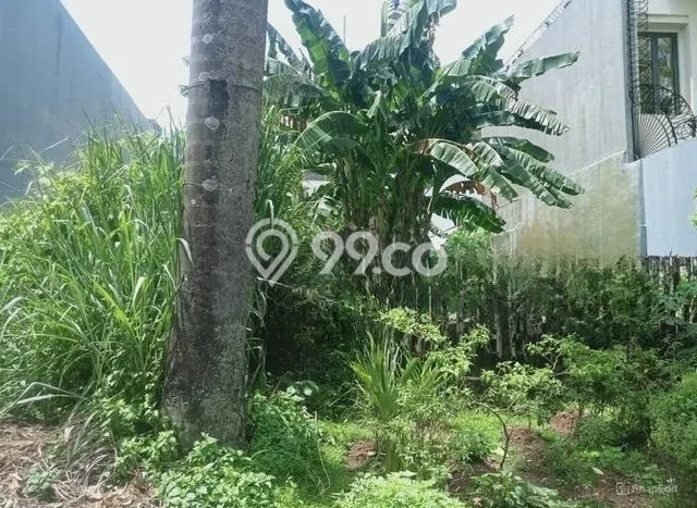 Kavling Tanah untuk Dijual di Pondok Indah, Jakarta Selatan, Luas 663m2 Kavling Tanah untuk Dijual di Pondok Indah, Jakarta Selatan, Luas 663m2