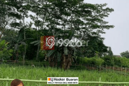 Dijual Tanah Padat Kavling Hankam Cileungsi Bogor Dijual Tanah Padat Kavling Hankam Cileungsi Bogor