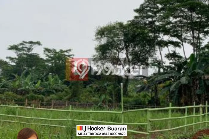 Tanah 300 M2 di Desa Dayeh Babakan Hamkam Cileungsi Tanah 300 M2 di Desa Dayeh Babakan Hamkam Cileungsi