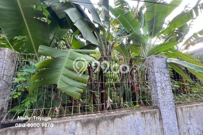 Tanah Kavling Dijual di Jakarta Timur dengan Spesifikasi 238m2 Tanah Kavling Dijual di Jakarta Timur dengan Spesifikasi 238m2