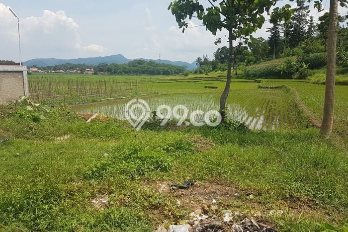 Dijual Tanah di Cililin, Luas 3700m², Area Potensial Dijual Tanah di Cililin, Luas 3700m², Area Potensial