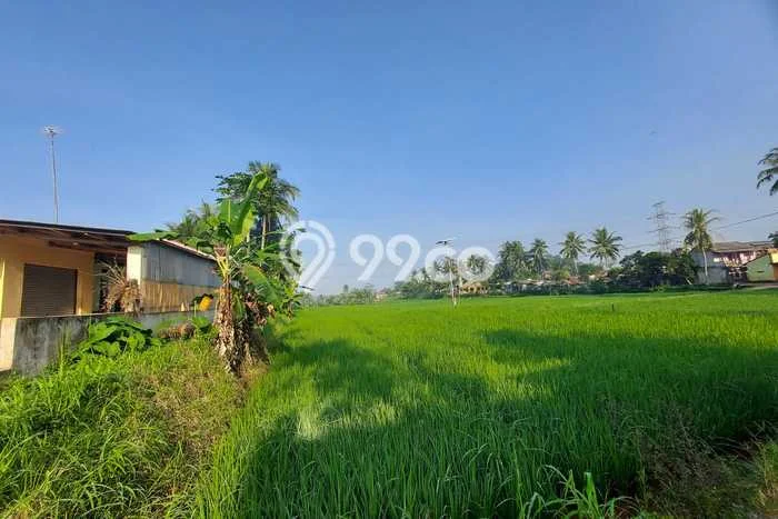 Kavling Tanah Dijual di Cipatat Bandung Barat Spesifikasi 13500m2 Kavling Tanah Dijual di Cipatat Bandung Barat Spesifikasi 13500m2