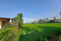 Kavling Tanah Dijual di Cipatat Bandung Barat Spesifikasi 13500m2 Kavling Tanah Dijual di Cipatat Bandung Barat Spesifikasi 13500m2