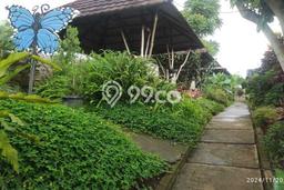 Tanah di Padalarang, Bandung Barat Luas 6269m2 Dijual Segera Tanah di Padalarang, Bandung Barat Luas 6269m2 Dijual Segera