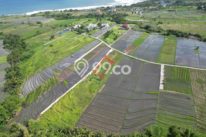 Tanah Strategis Kawasan Kediri, Luas 177m², Disewakan Tanah Strategis Kawasan Kediri, Luas 177m², Disewakan
