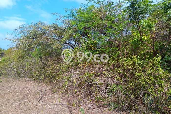 Tanah Lokasi Prima di Jimbaran, Luas 450m², Lingkungan Asri, Akses Jimbaran, Badung, Badung Tanah Lokasi Prima di Jimbaran, Luas 450m², Lingkungan Asri, Akses Jimbaran, Badung, Badung