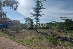 Untuk Dijual Tanah di Badung, Luas 1000m2 SHM Untuk Dijual Tanah di Badung, Luas 1000m2 SHM
